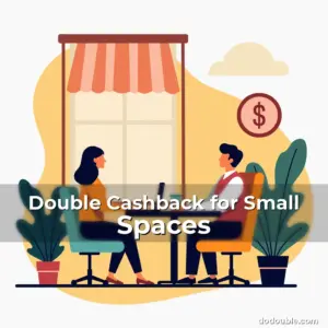 Artistic representation for Double Cashback for Small Spaces